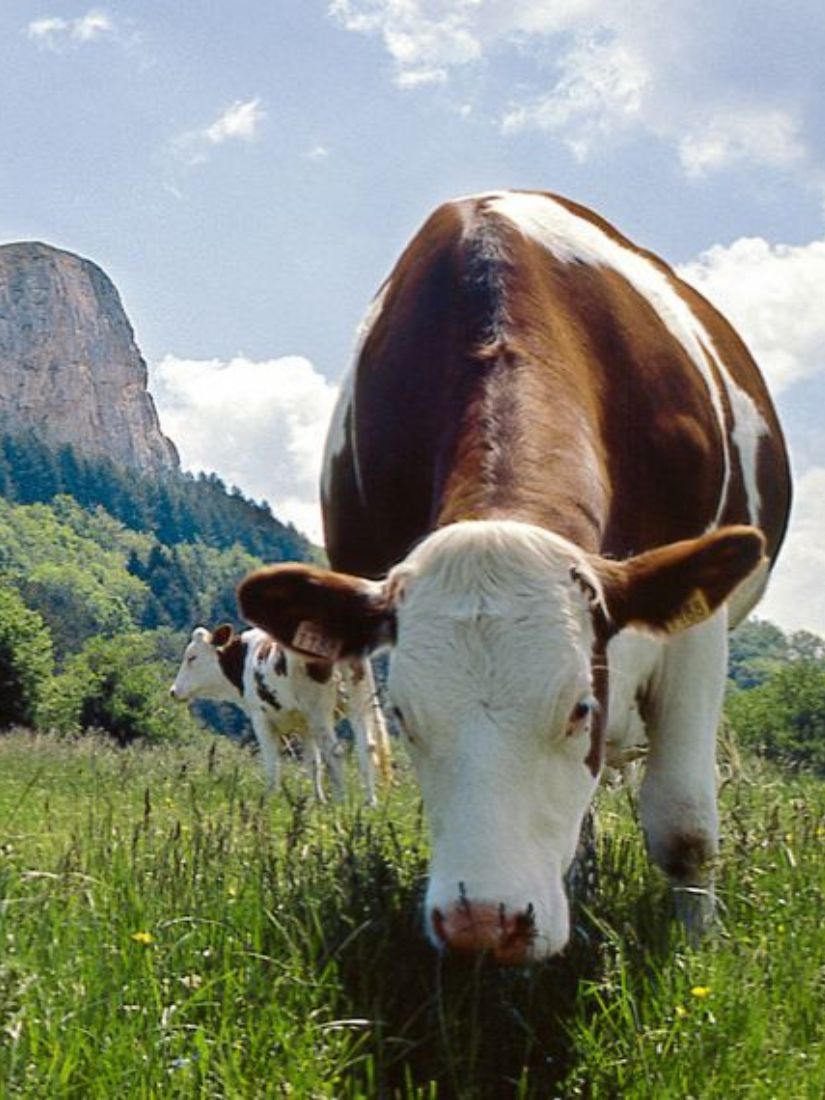 Auf in die Open Air-Saison!