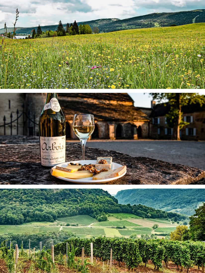 Wo COMTÉ und Wein zu Hause sind