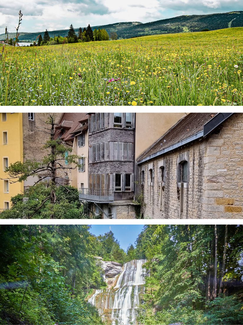 Wo COMTÉ und Wein zu Hause sind