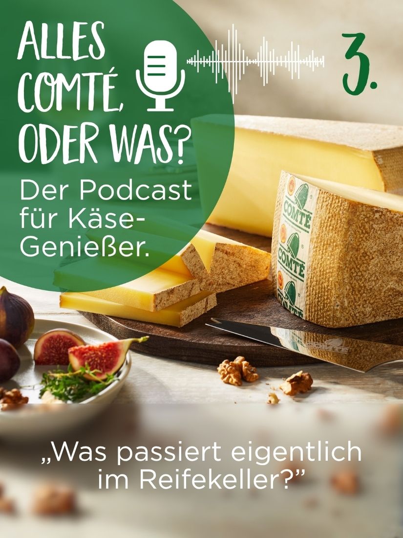 „Alles Comté oder was?“ fragt: Was passiert eigentlich im Reifekeller?