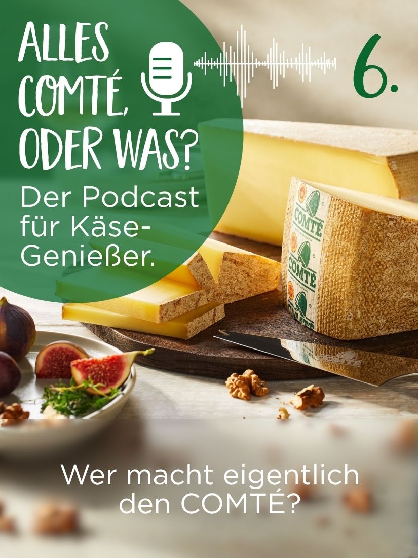 „Alles COMTÉ oder was?“ fragt: Wer macht eigentlich den COMTÉ?