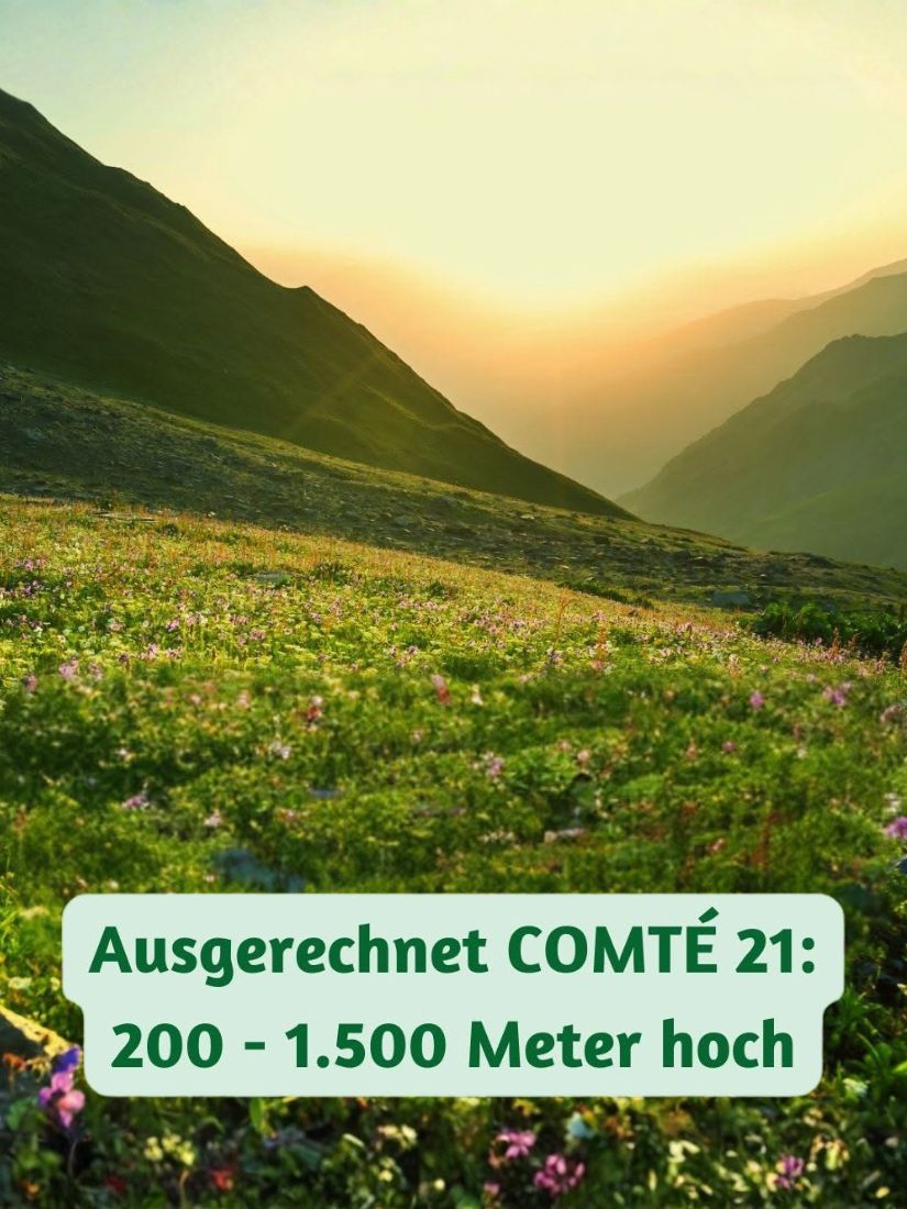200 bis 1.500 Meter hoch